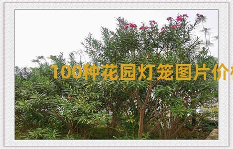 100种花园灯笼图片价格