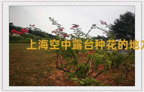 上海空中露台种花的地方