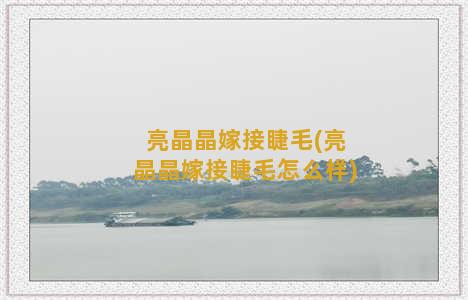 亮晶晶嫁接睫毛(亮晶晶嫁接睫毛怎么样)