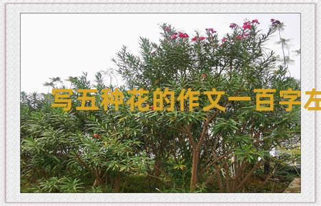 写五种花的作文一百字左右