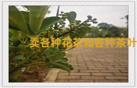 卖各种花茶和各种茶叶