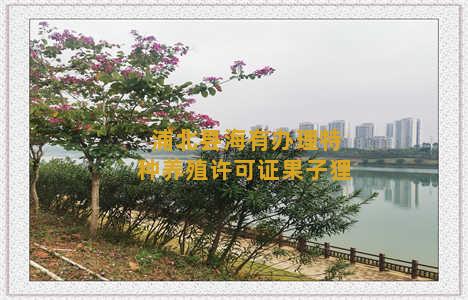 浦北县海有办理特种养殖许可证果子狸