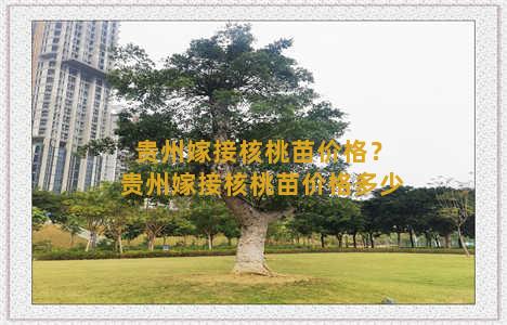 贵州嫁接核桃苗价格？贵州嫁接核桃苗价格多少