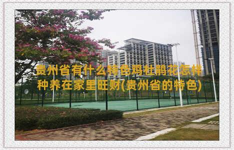 贵州省有什么特色鸡杜鹃花怎样种养在家里旺财(贵州省的特色)